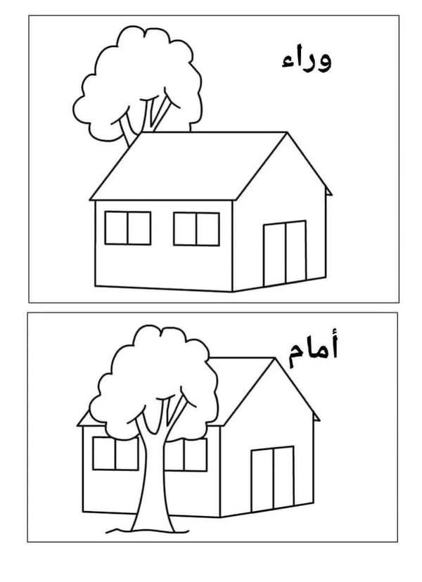 الاتجاهات