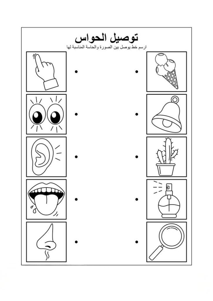الحواس