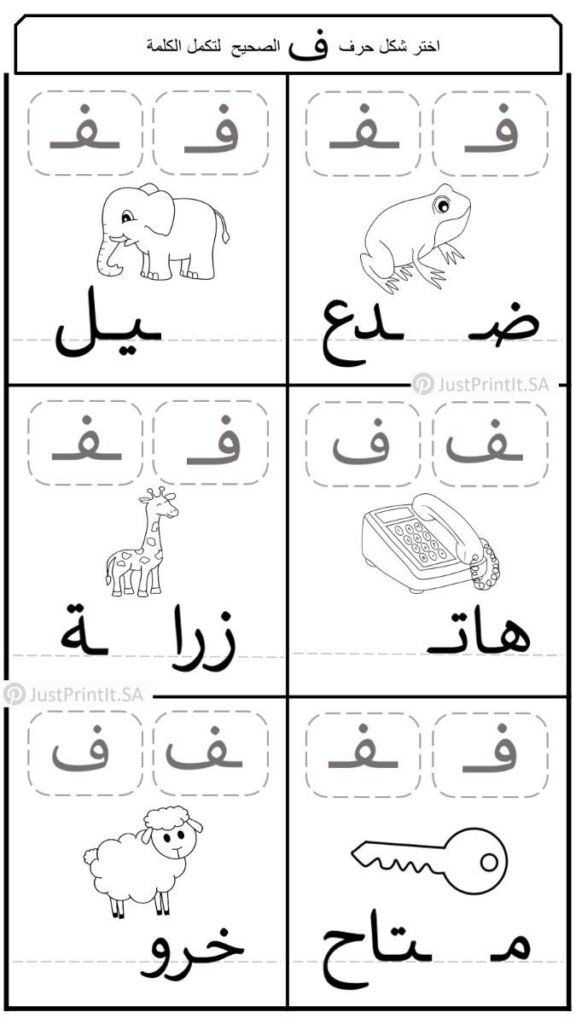 الفاء
