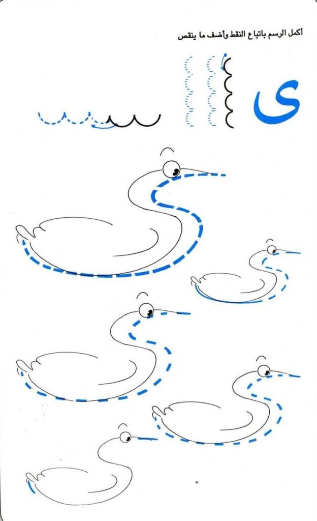 تخطيط ي