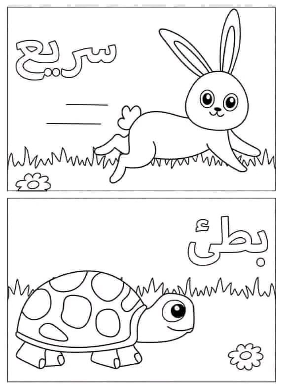 سريع .بطئ