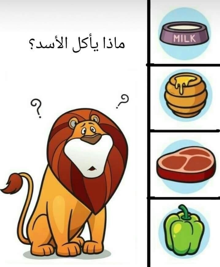 طعام الاسد
