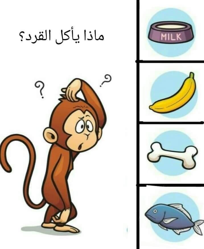طعام القرد