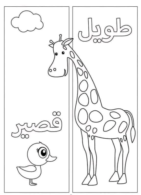 طويل وقصير