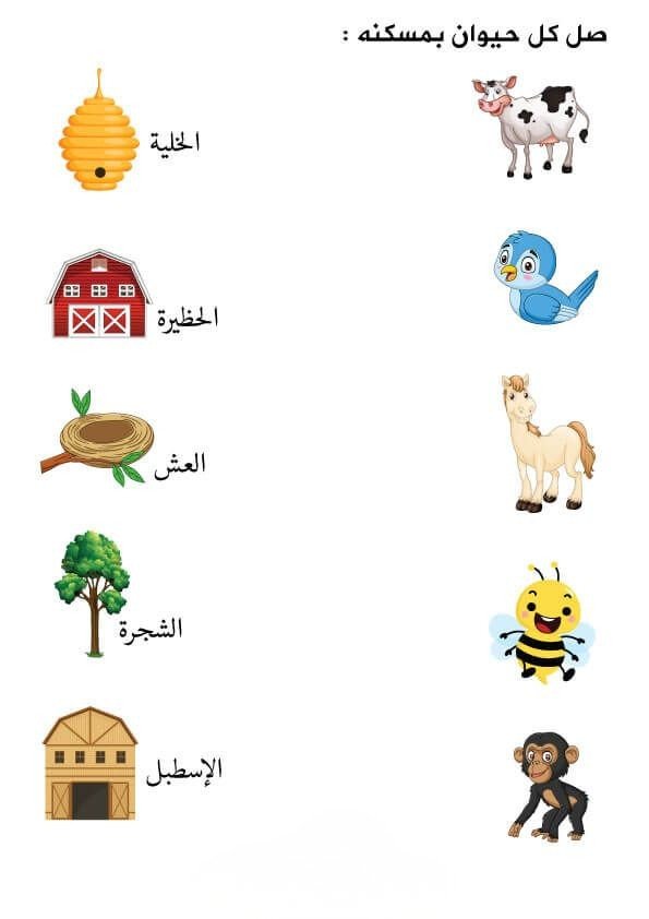 مساكن الحيوانات (2)